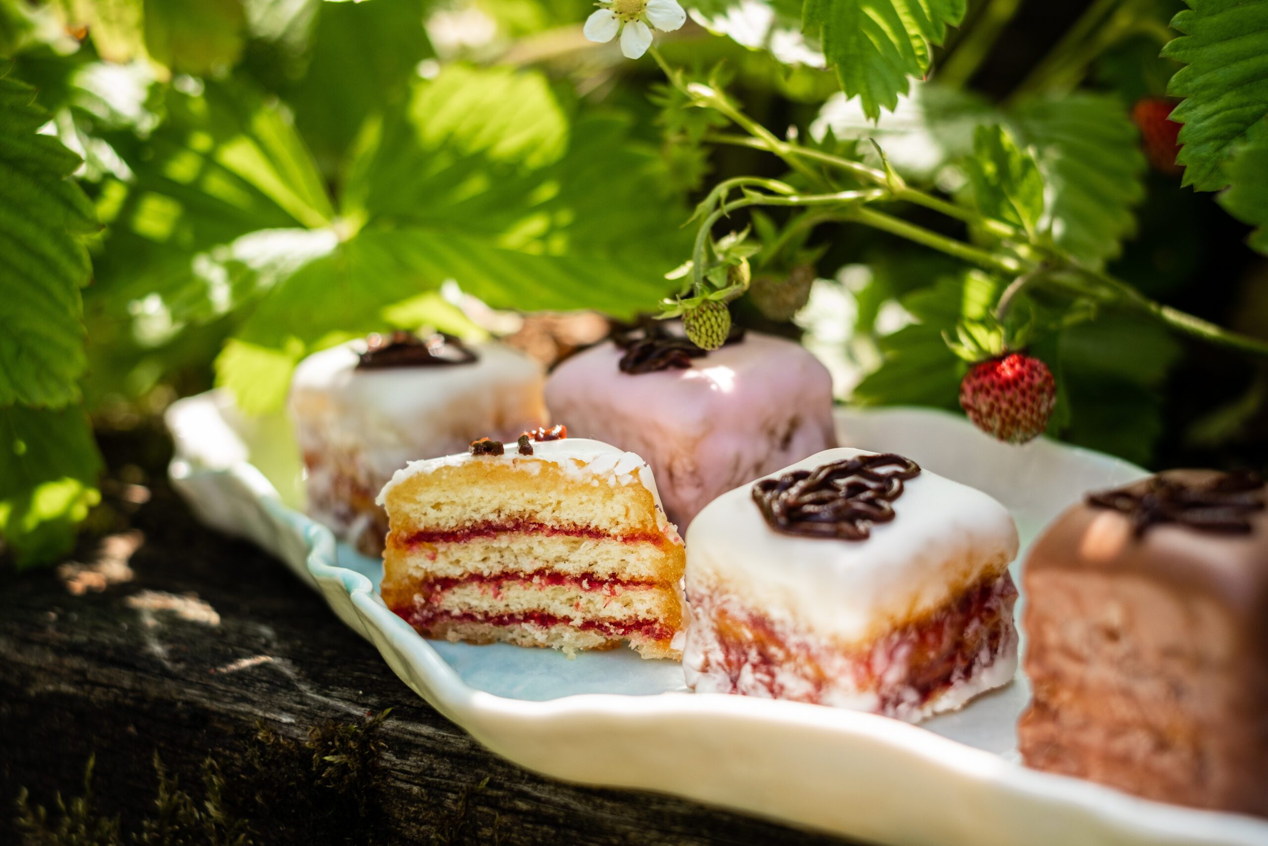 Petit Four in der Natur