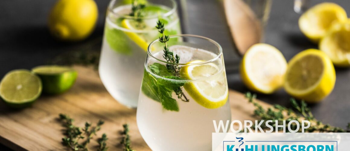Ticket-Banner_Kübo-kocht2025-Gin selber machen
