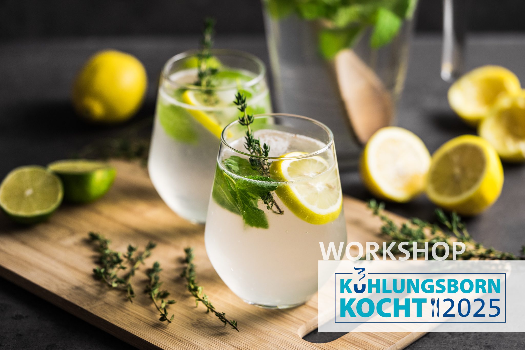 Ticket-Banner_Kübo-kocht2025-Gin selber machen